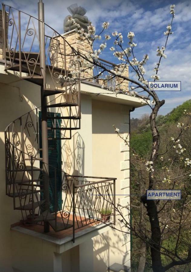 Appartamento A Moneglia, Tra Portofino E Le Cinque Terre 외부 사진